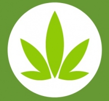 Cannabis is The Cure,z.s.