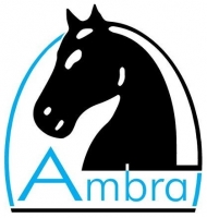 Sdružení AMBRA, z.s.