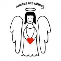Andělé bez křídel, z.s.