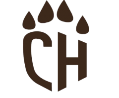Cheetahs Cheer team, z. s