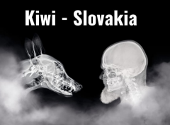 K9 Kiwi-Slovakia